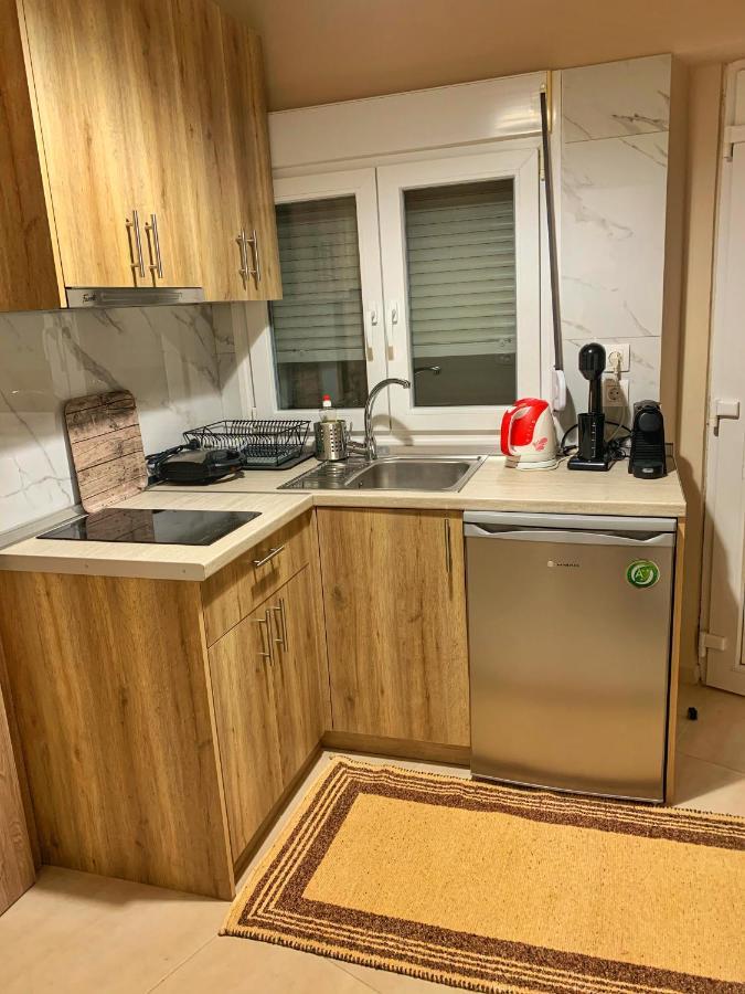 شقة Petite Luxury Urban House Tríkala المظهر الخارجي الصورة